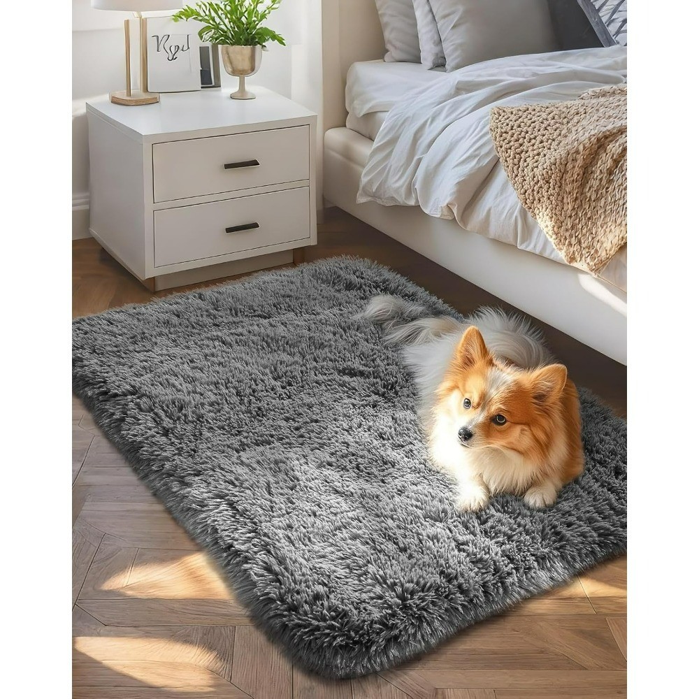 Soft Grey Fluffy Non-Slip Small Area Rug 2×3 Indoor Entryway Mat for Bedroom