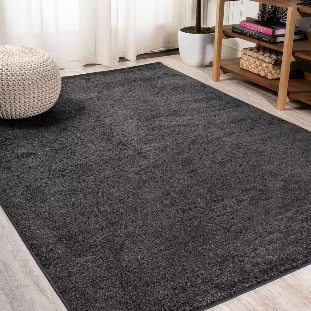 Haze Solid Low-Pile Black 8 Ft. X 10 Ft. Area Rug