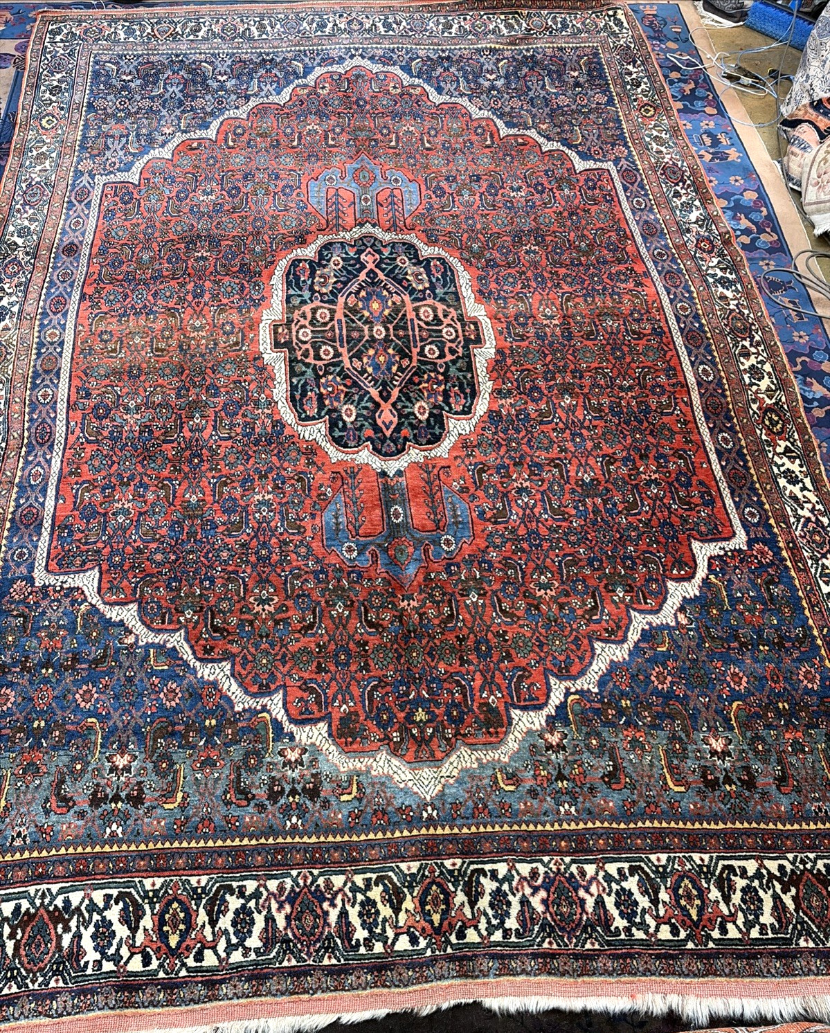 Auth: 19th C Antique Kurdish Bidjar Collectors Choice Beauty Organic 8×11
