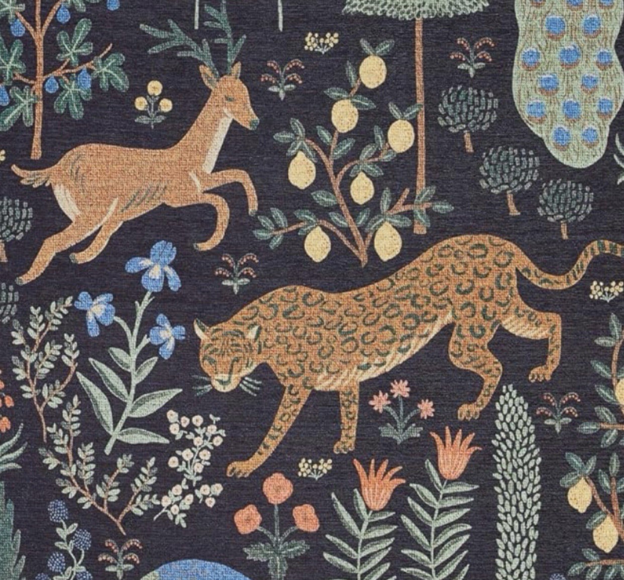 Stunning Bliss Woodland Animal Botanical Jungle Indoor Area Rug 5’ x 7’ Black
