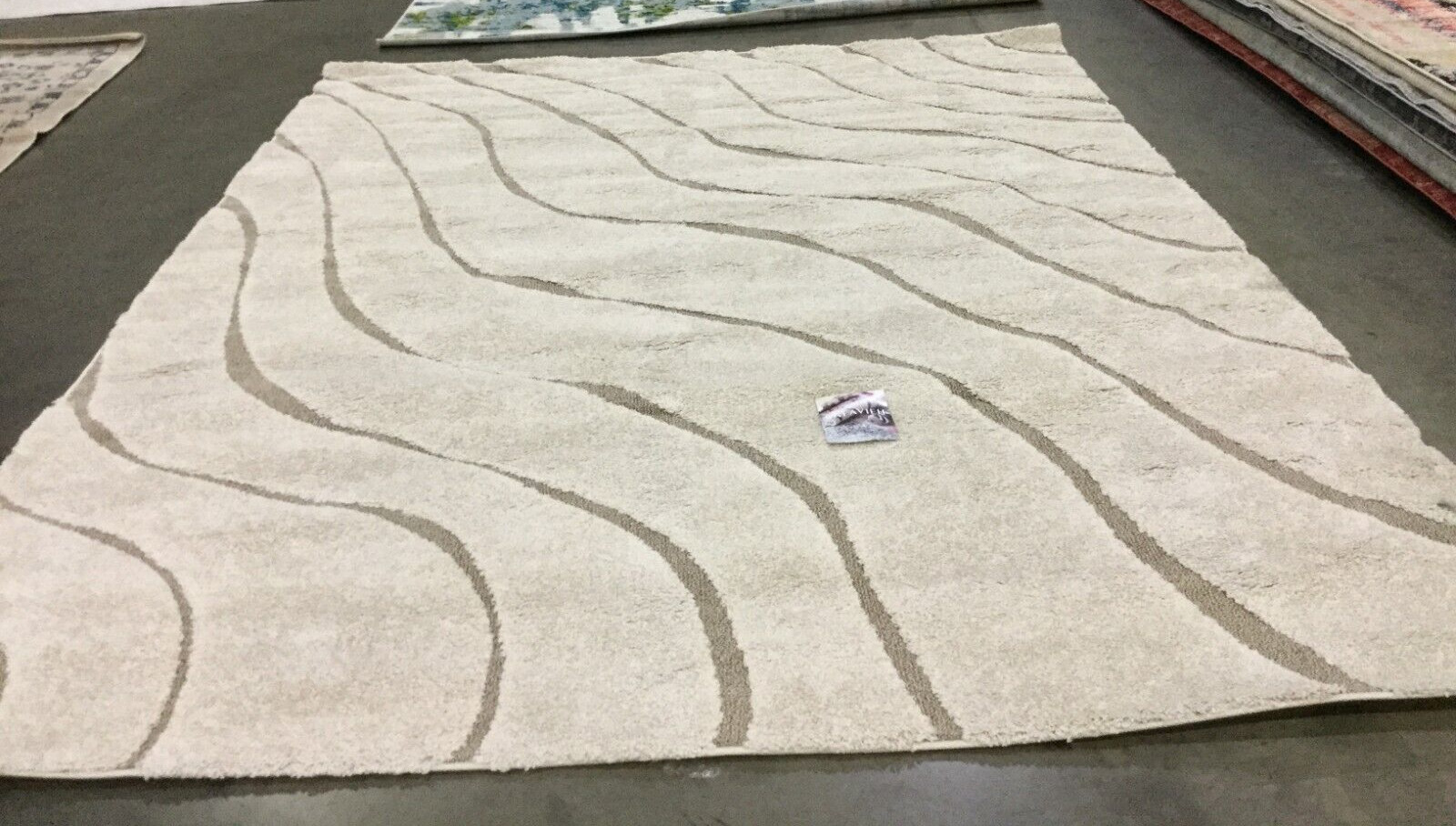 CREAM / BEIGE 8′ X 10′ Stained Rug, Reduced Price 1172660739 SG472-1113-8
