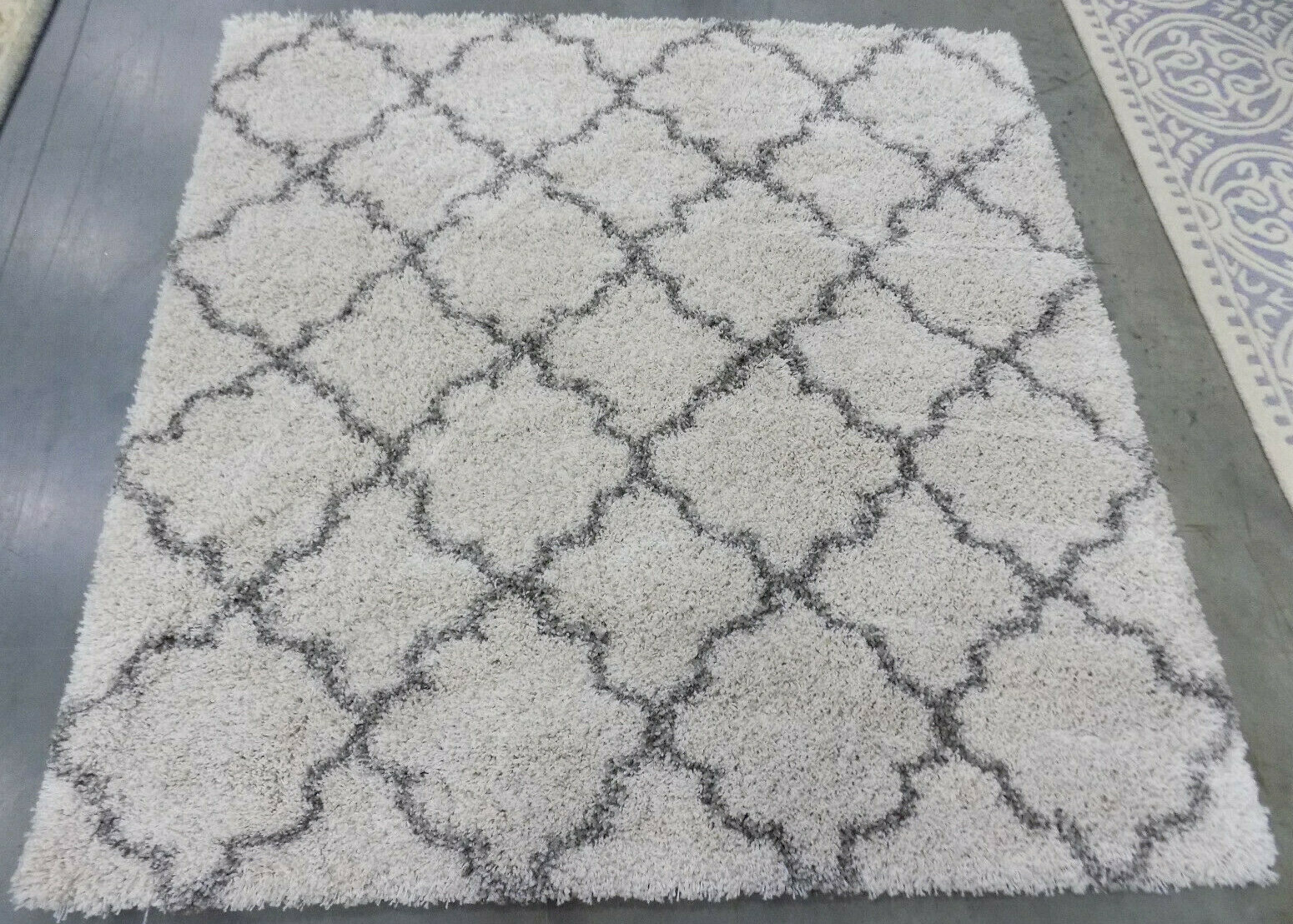 IVORY / GREY 5′-3″ X 5′-3″ Damaged Rug Reduced Price 1172592146 SGH282A-5SQ