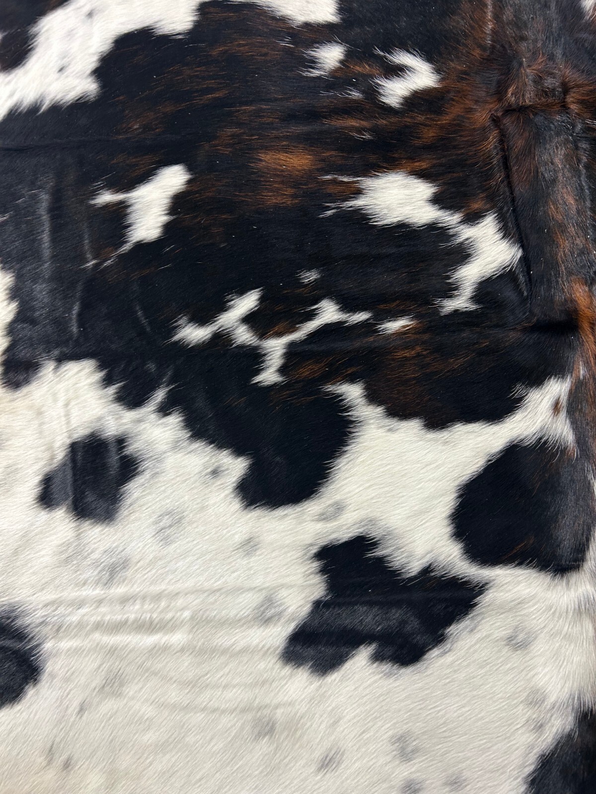 Tricolor Cowhide Rug Size: 7×7 ft D-389