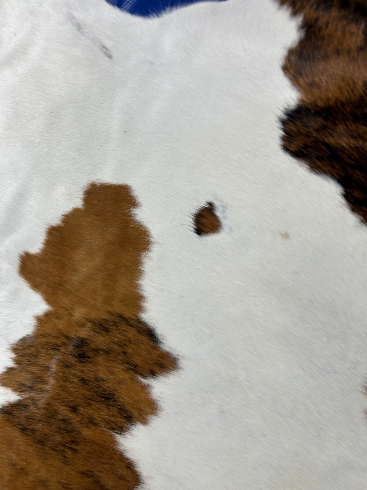 Tricolor Cowhide Rug (mainly brown tones) Size: 8×7.2 feet M-1661