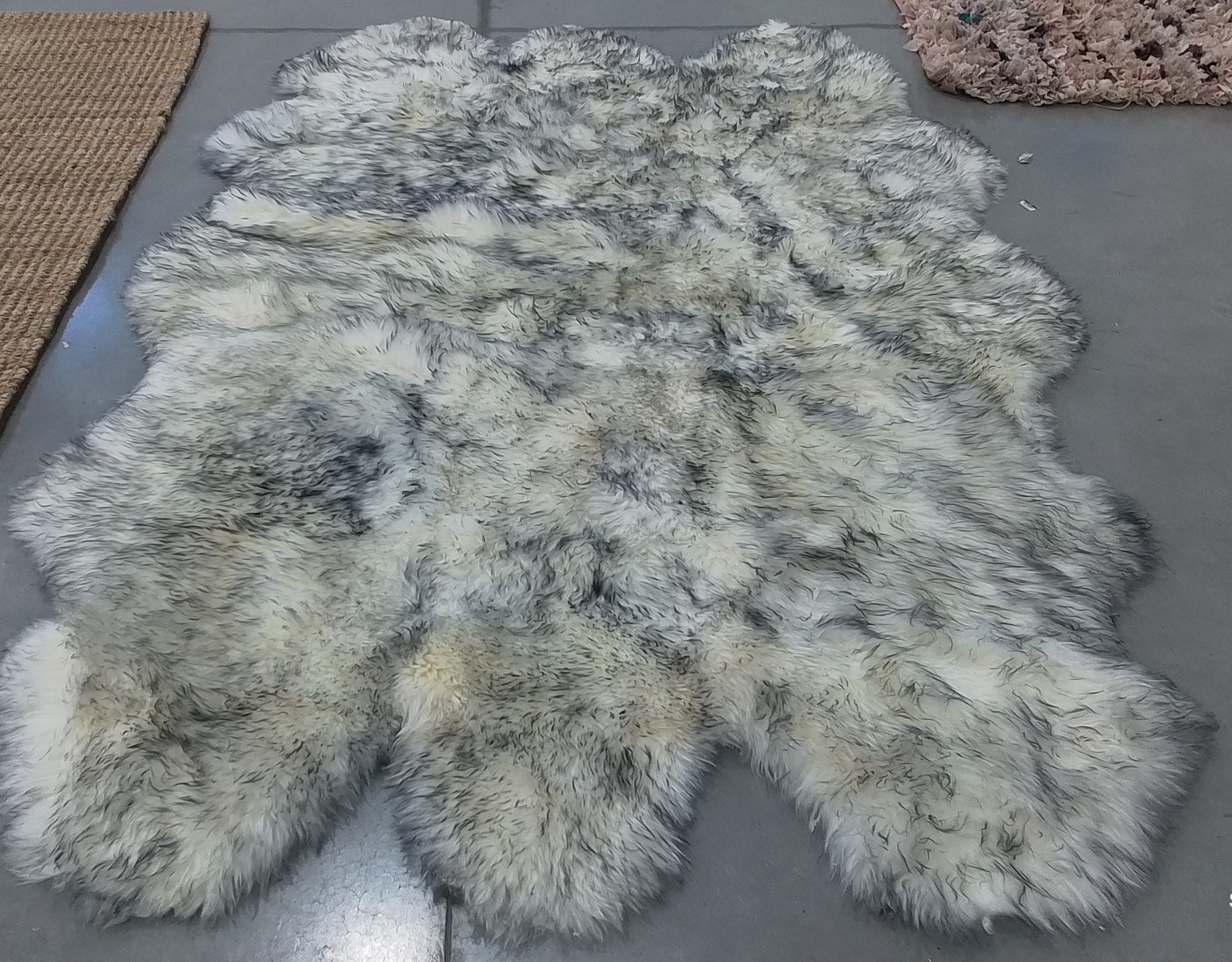IVORY SMOKE GREY 5′-5″ x 7′-7″ Back Stain Rug Reduced Price 1172792248 SHS121E-5