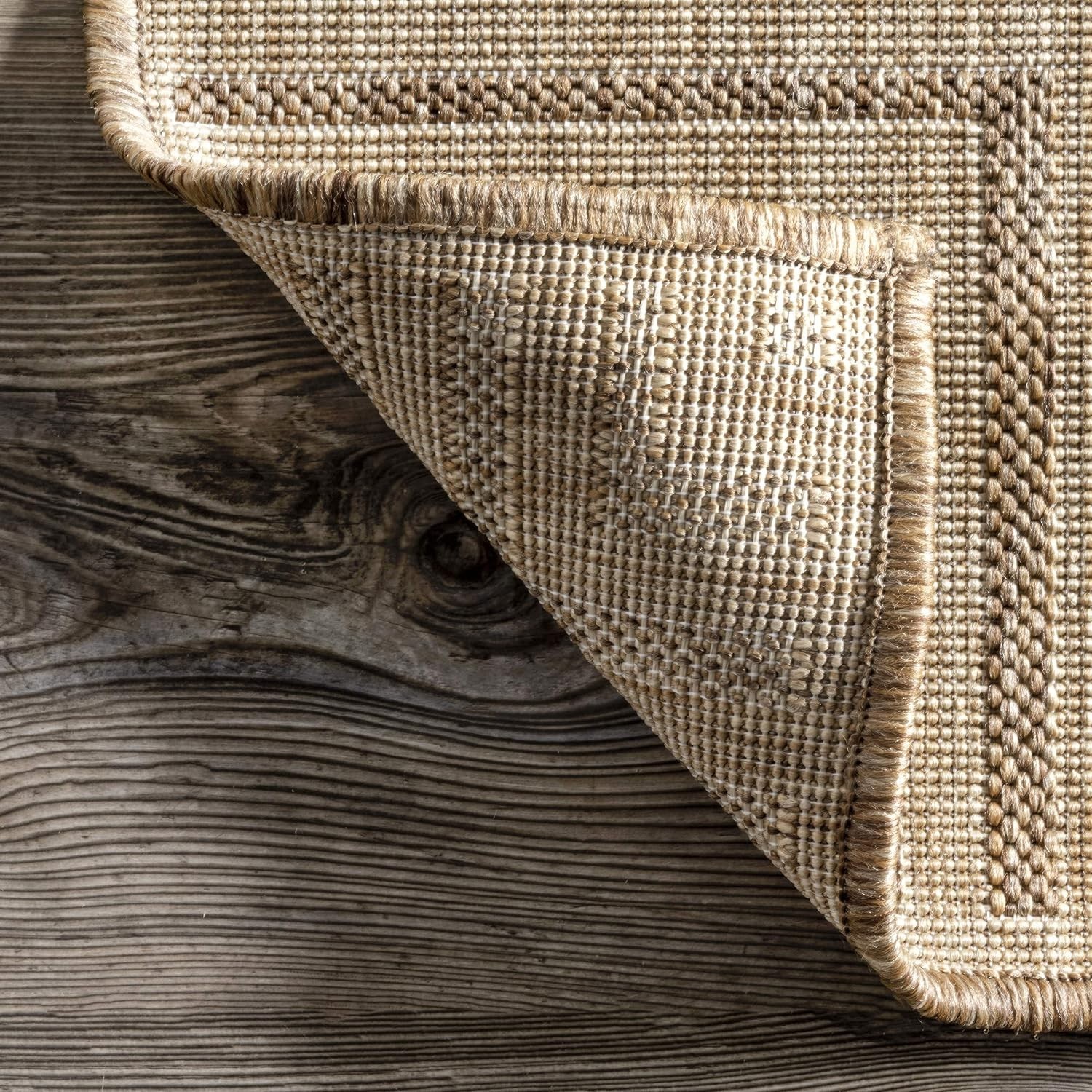 Asha Light Brown Bordered Indoor/Outdoor Rug – 5′ x 8′, Water & Stain Resistant