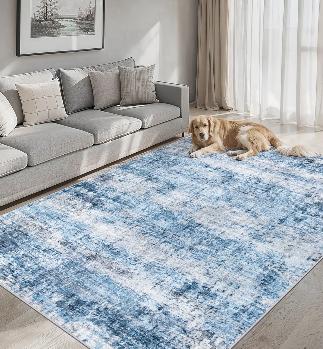 Area Rugs 4×6 ft (48*72 in) Washable Modern Abstract Soft Neutral NonSlip Carpet