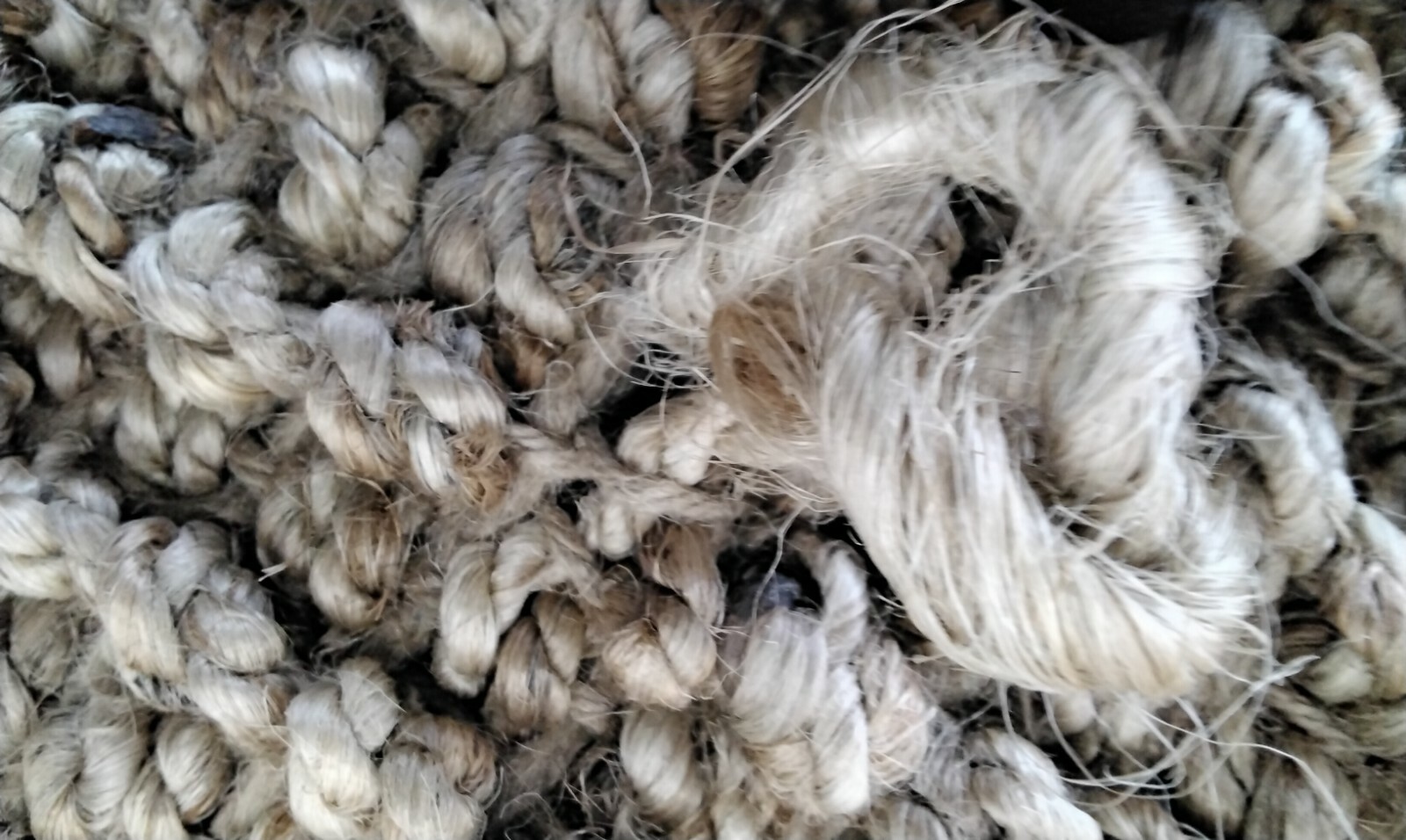 NATURAL 9′ X 12′ Pulled Threads Rug, Reduced Price 1172710651 NF447A-9