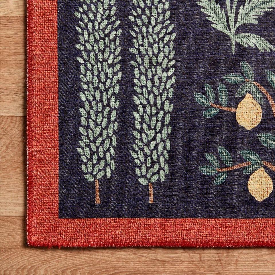 Stunning Bliss Woodland Animal Botanical Jungle Indoor Area Rug 5’ x 7’ Black