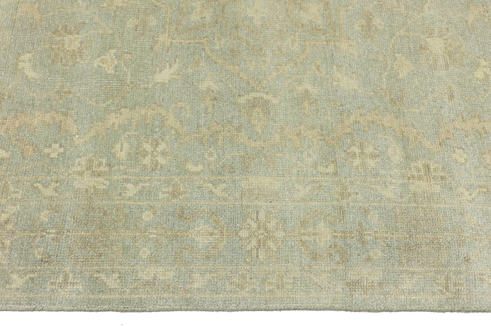 Handmade Muted Aqua Green Floral Oriental Rug Living Room Decor Carpet 6X9 ft