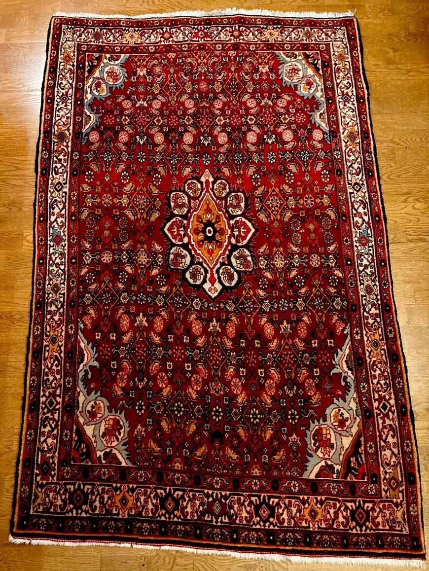 Densely Woven 4 X 6 True Bidjar Rug Herati Pattern Brick Sunset Pale Blue Ivory