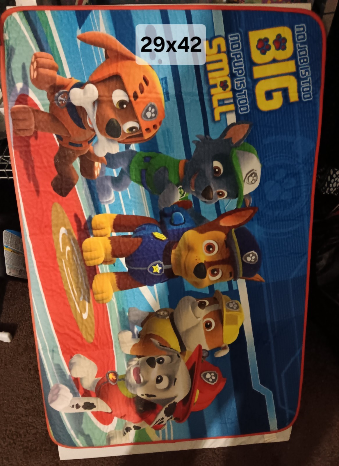 Nickelodeon Paw Patrol Rug 56 x 40 inches Thick Soft Play Mat