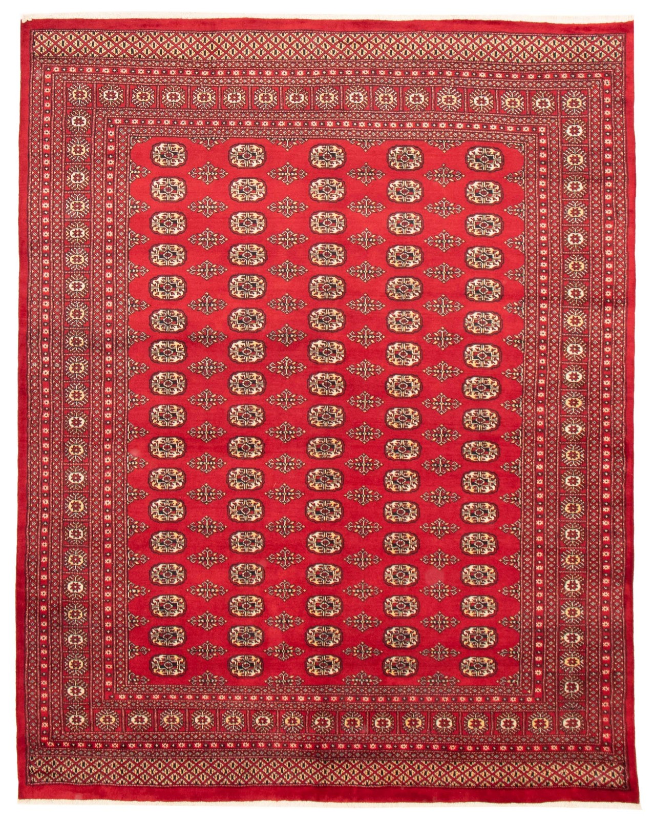 Traditional Hand Knotted Oriental Area Rug 8’1″ x 10’0″ Wool Carpet