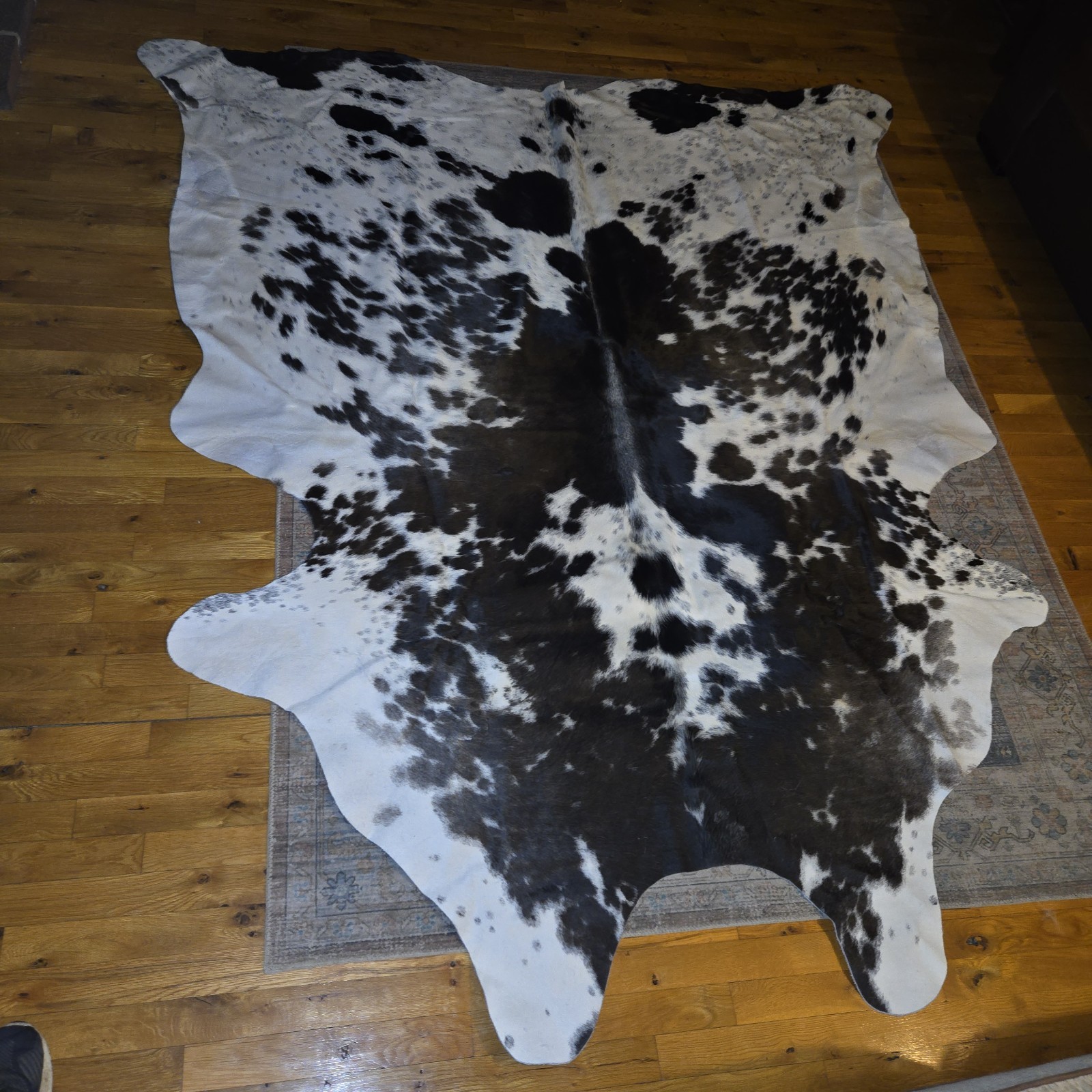 Abhinav 6′ x 7′ Black and White Cowhide Cowhide Area Rug