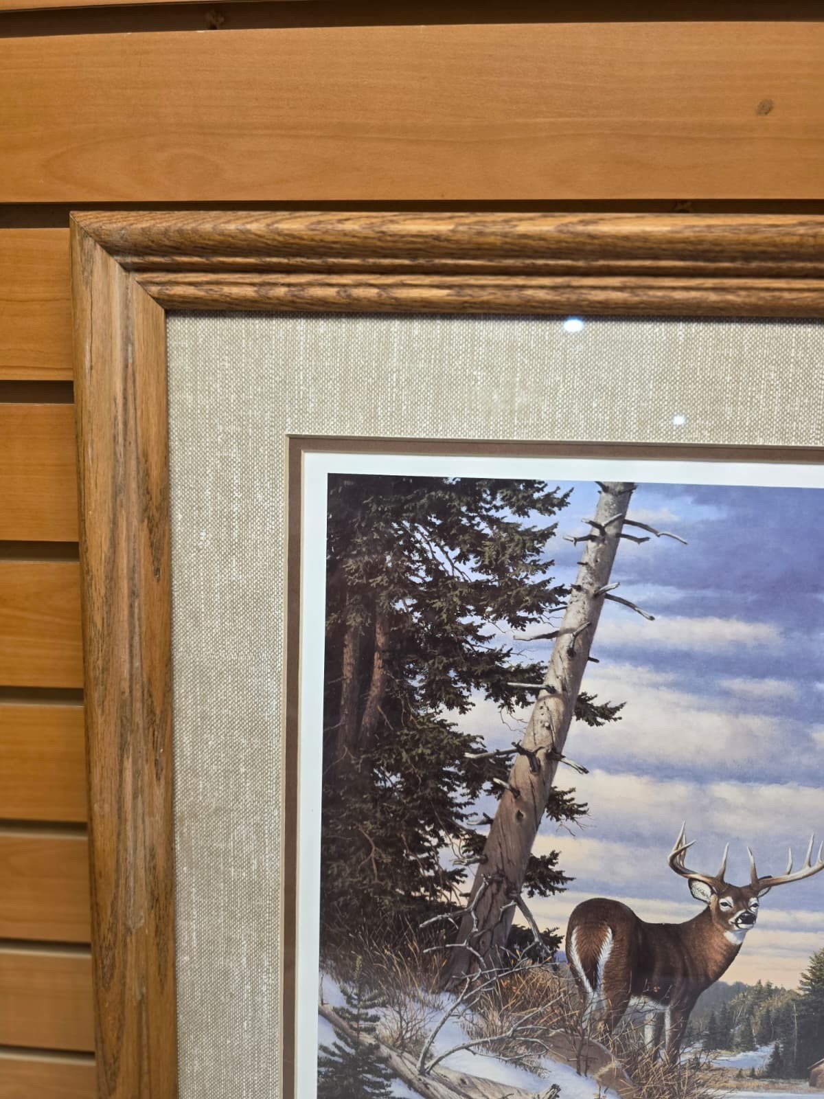JTVPR4 – Freedom Reigns Framed 20×26