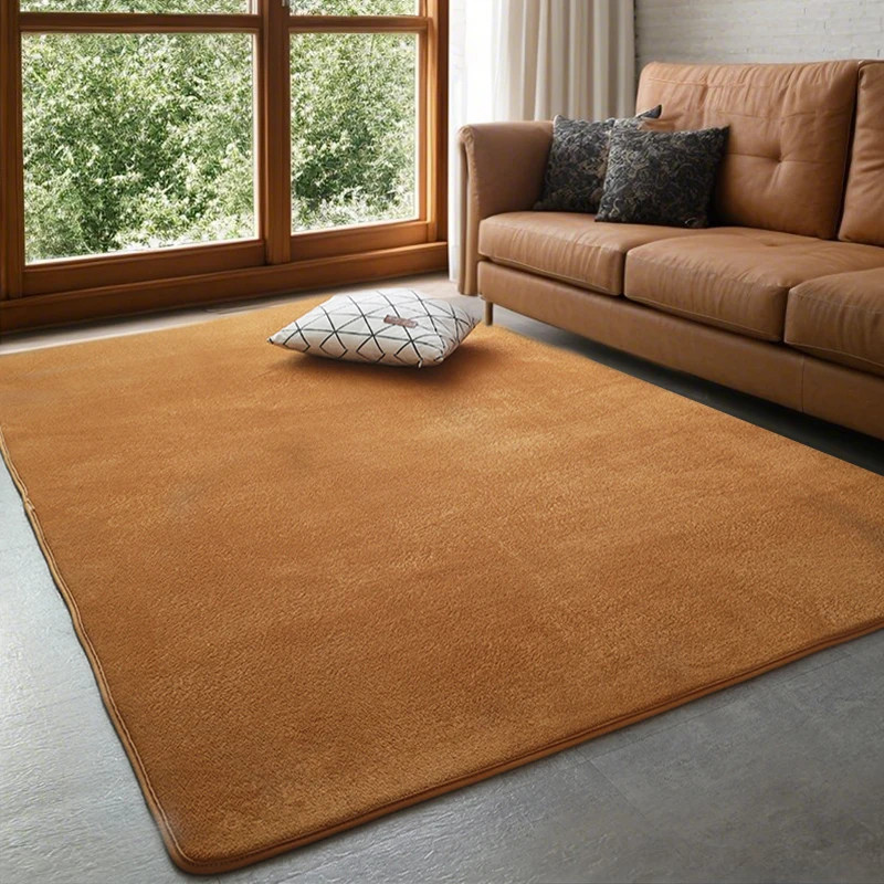 Plush Non-Slip Coral Velvet Carpet for Living Room & Kids Play Area