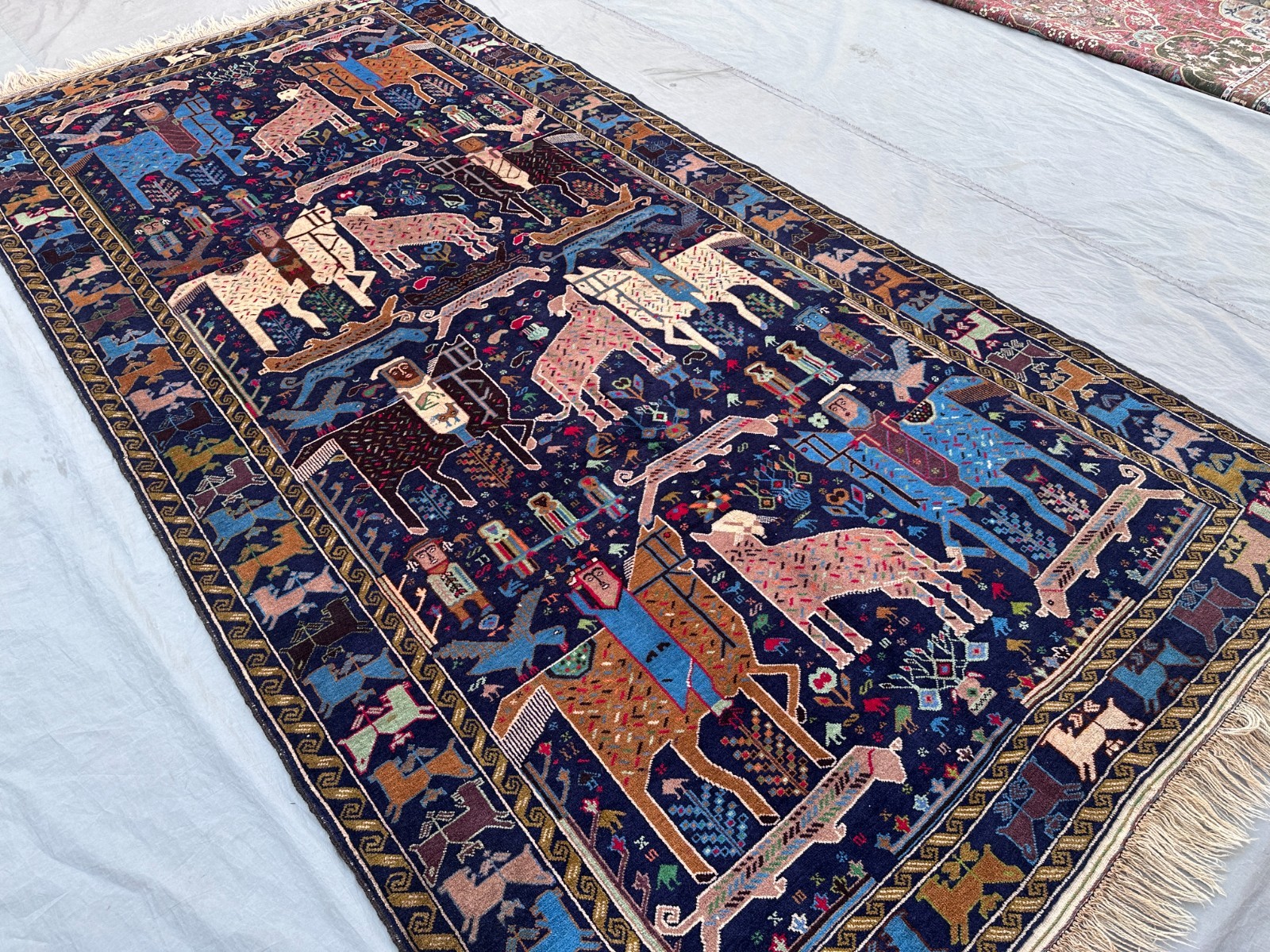 5×10 Rare Pictorial Baluchi Rug Handmade Wool Tribal Animal Figure Carpet