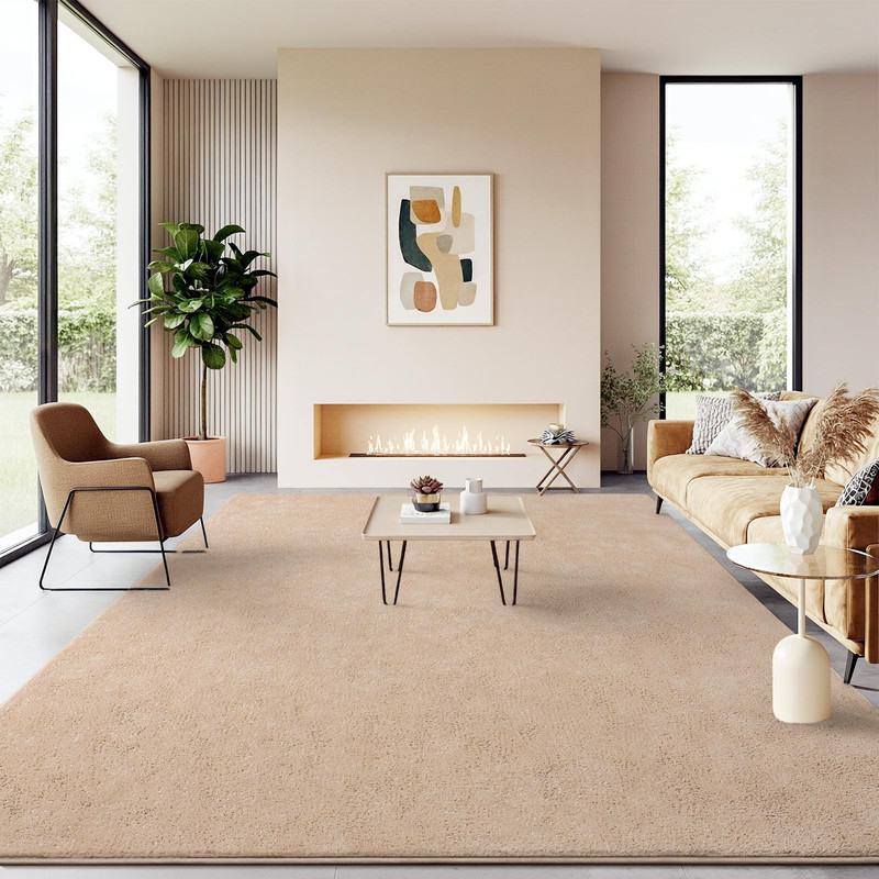 B Benron Soft Rugs For Living Room 6X9 Beige Minimalist Area Rug For Bedroom