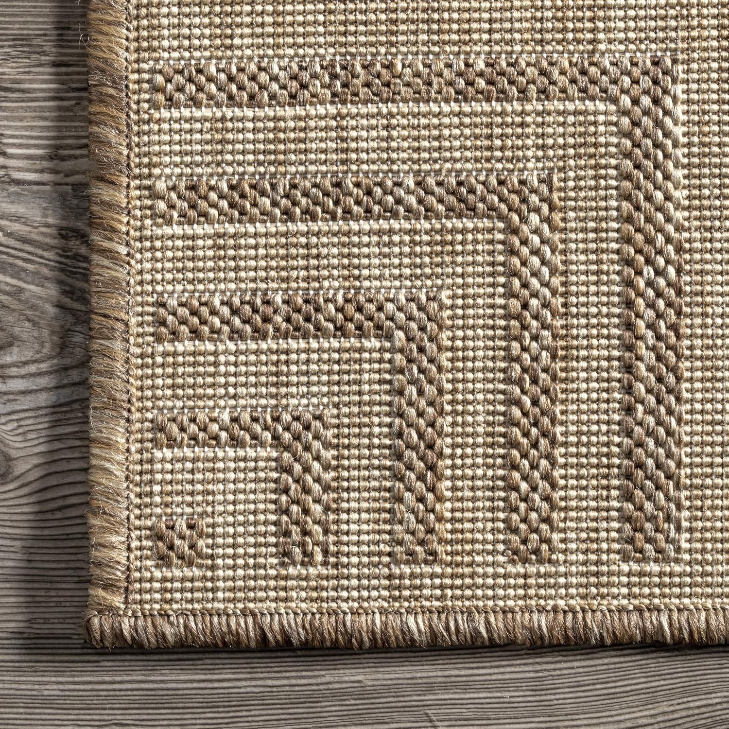 Asha Light Brown Bordered Indoor/Outdoor Rug – 5′ x 8′, Water & Stain Resistant