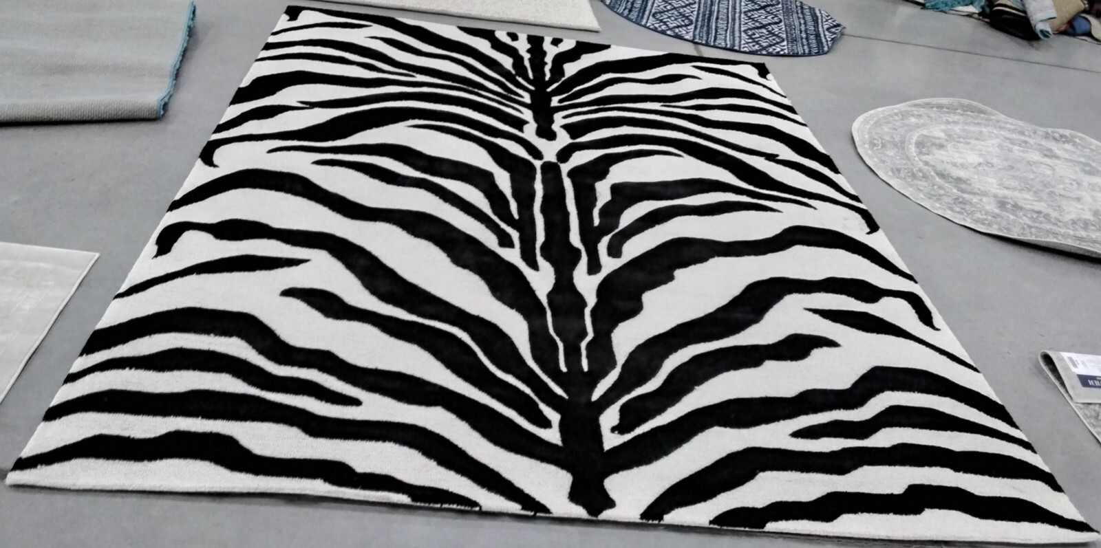 IVORY / BLACK 8′ X 10′ Back Stain Rug, Reduced Price 1172764417 CAM709Q-8