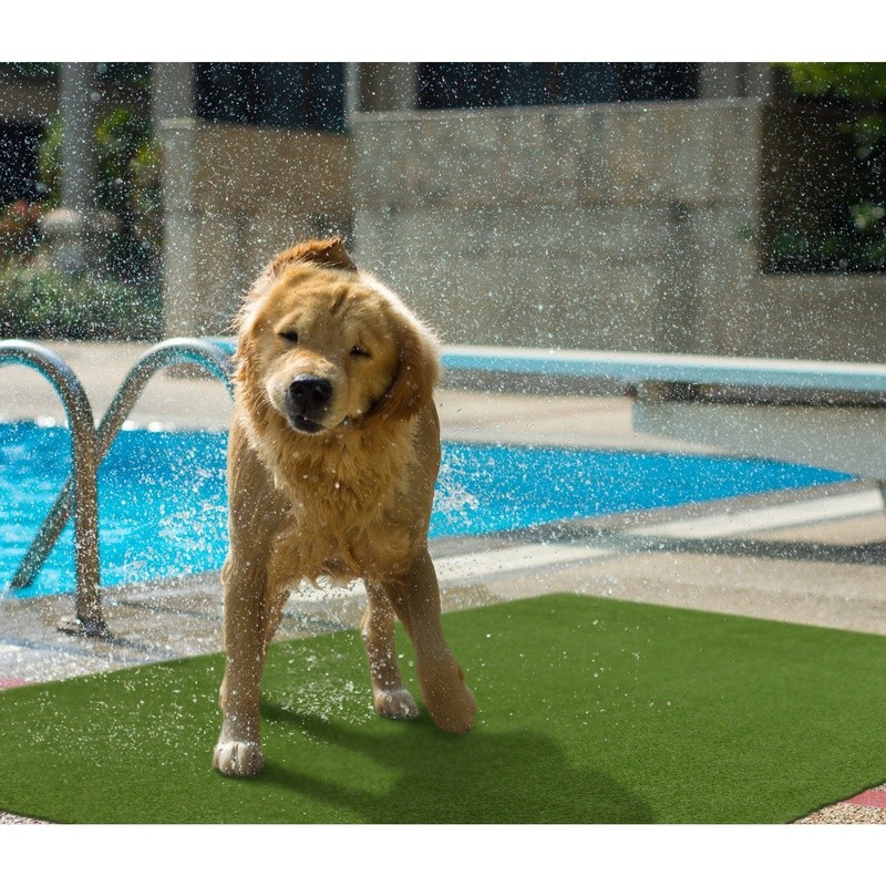 Outdoor Green Faux Grass Rug Pet-Friendly Durable Easy Clean All-Weather Use