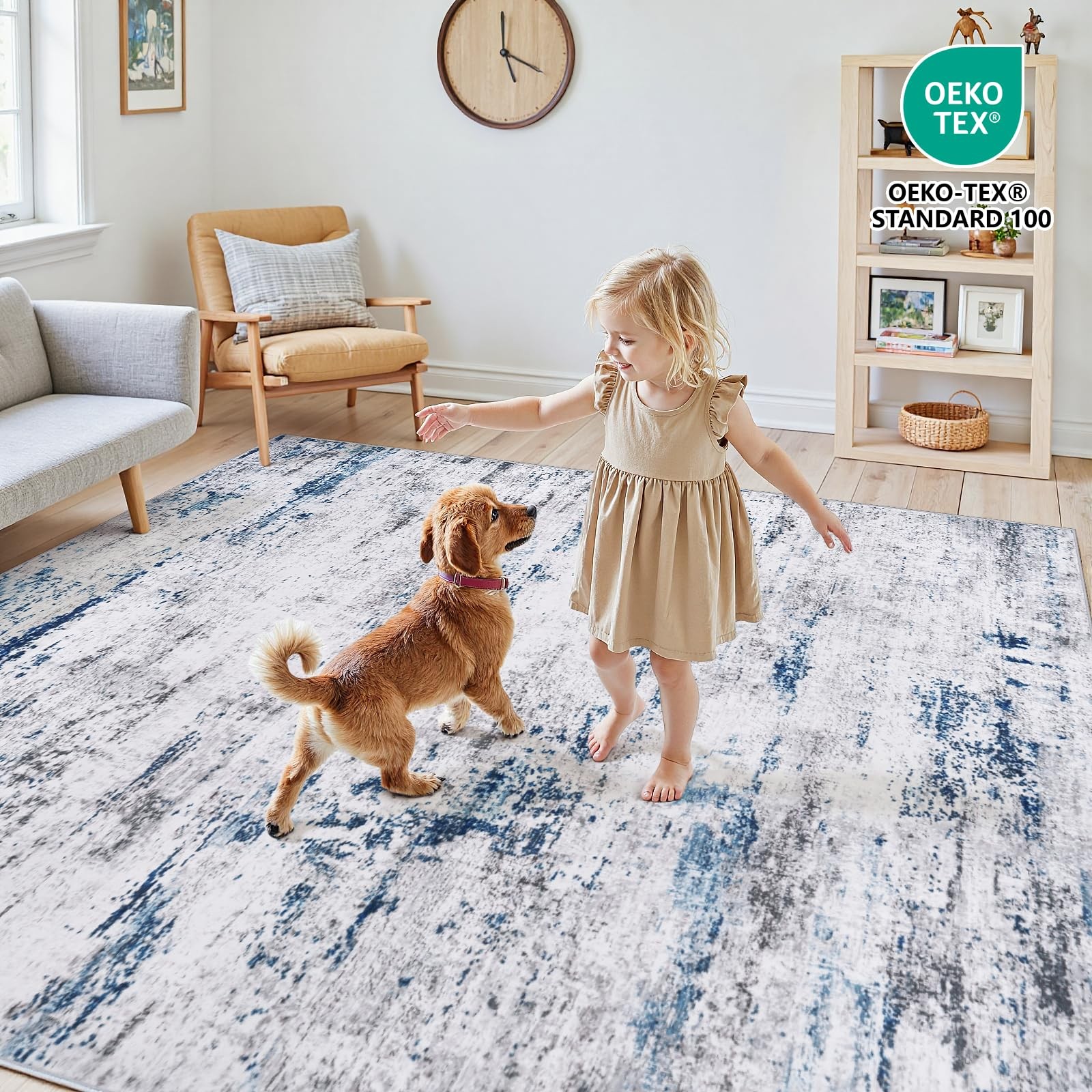 Area Rug Living Room Rugs: 5×7 Large Soft Indoor Carpet Modern Abstract Rug with