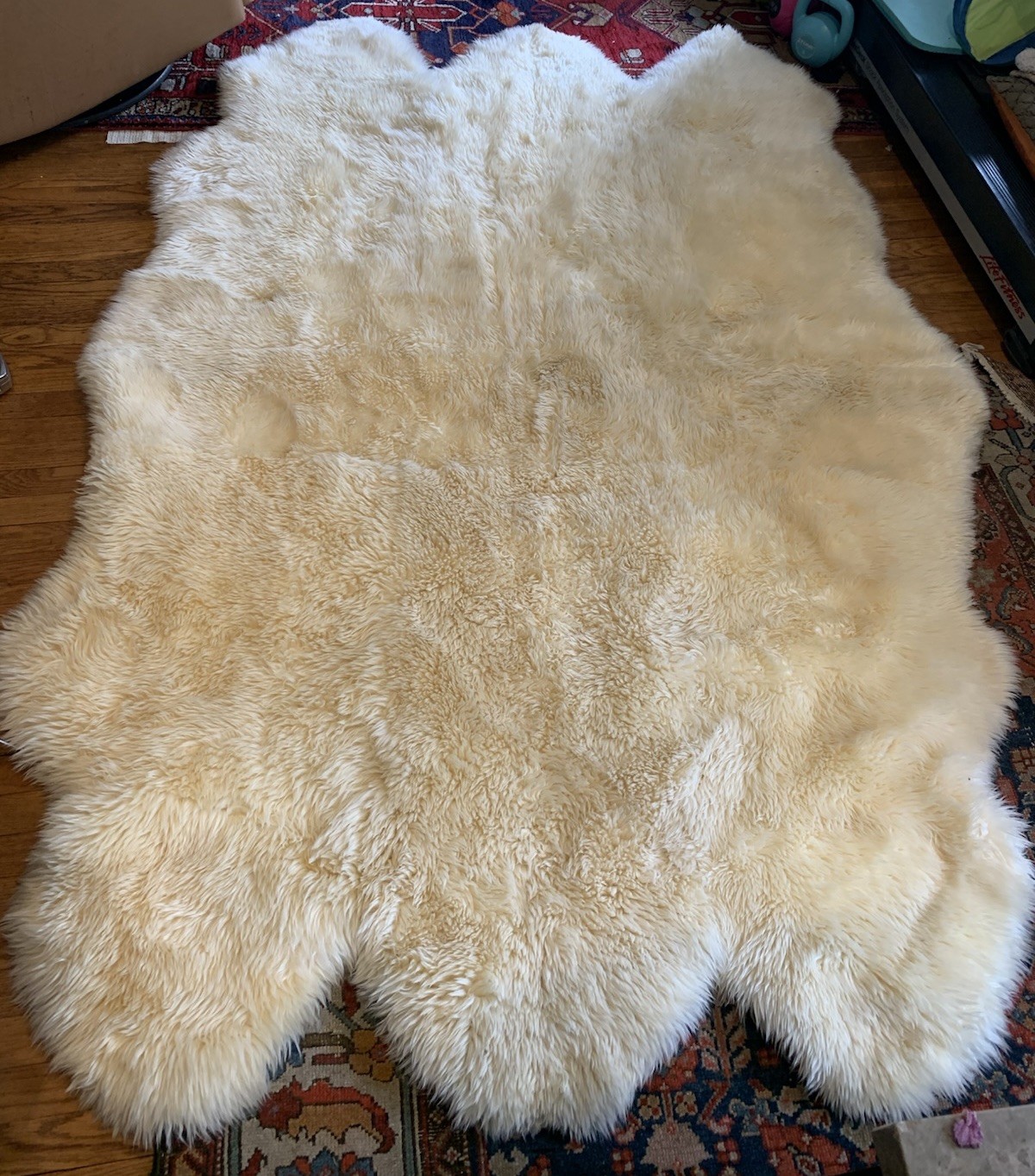 SAFAVIEH Genuine Natural Luxurious Soft Sheepskin Area Rug White 5.38 x 7.15’