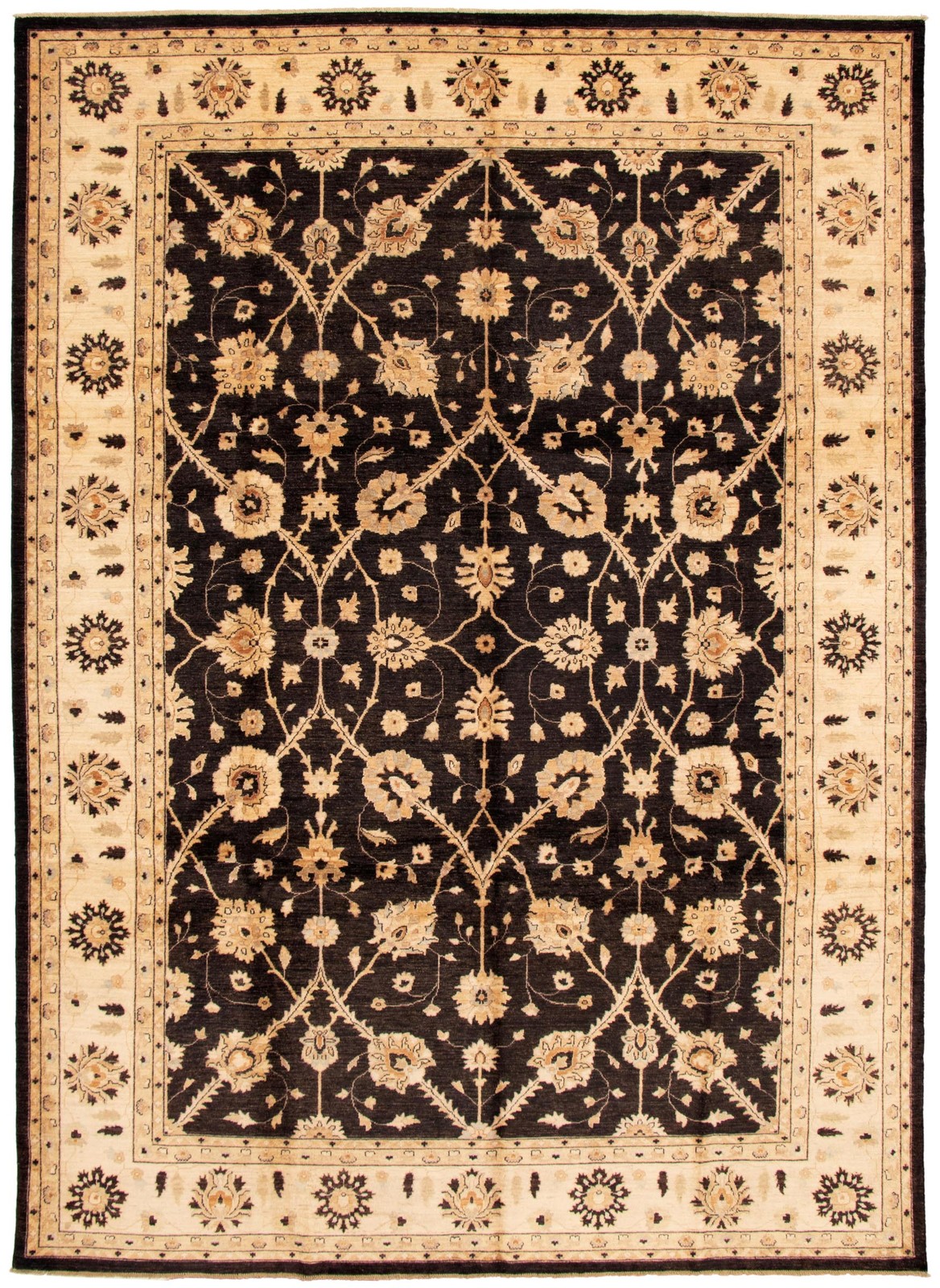 Hand Knotted Area Rug 10’0″ x 13’10” Traditional Oriental Wool Carpet