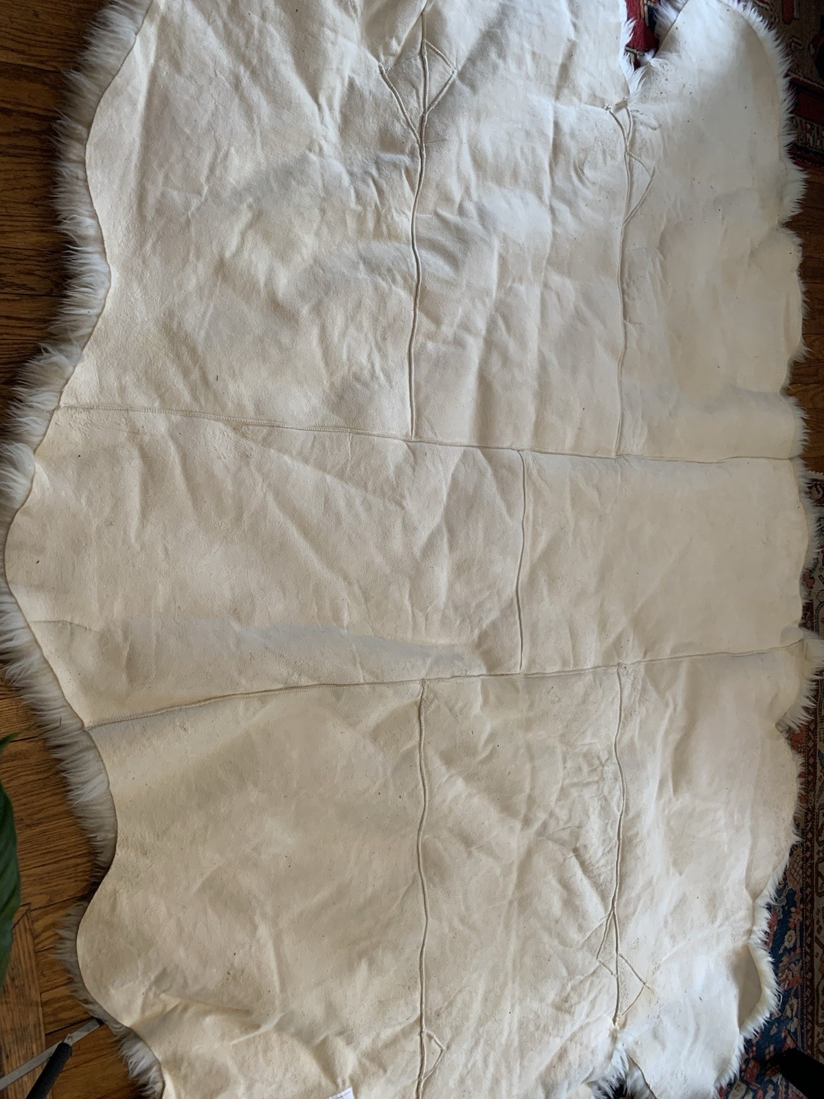 SAFAVIEH Genuine Natural Luxurious Soft Sheepskin Area Rug White 5.38 x 7.15’