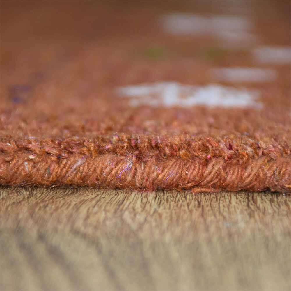 Eco-Friendly Hand Knotted Loom Silk Mix Area Rug Contemporary Orange BBLSM585