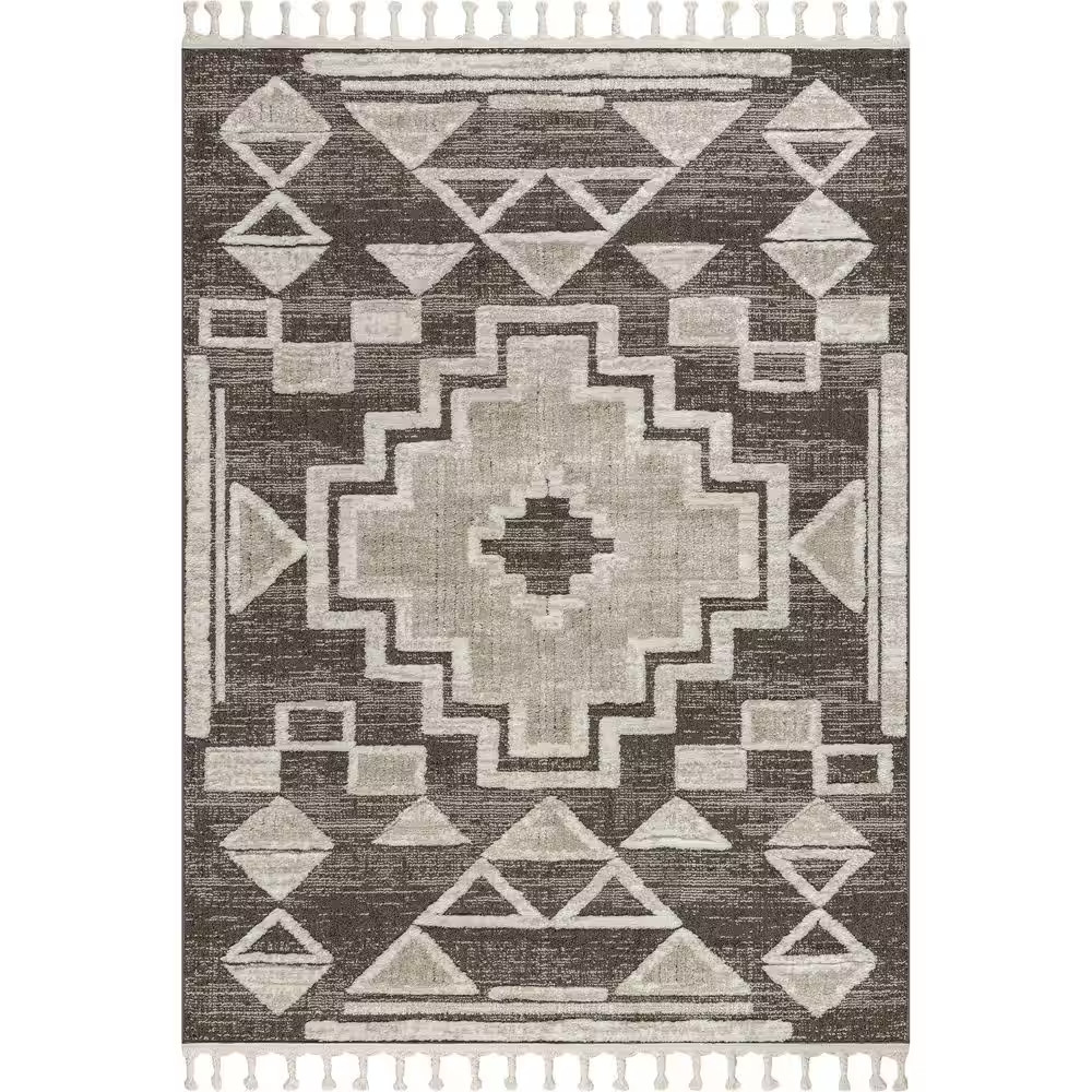 Gatsby Southwestern Tasseled Brown 5 Ft. X 8 Ft. Indoor/Outdoor Patio Area Rug