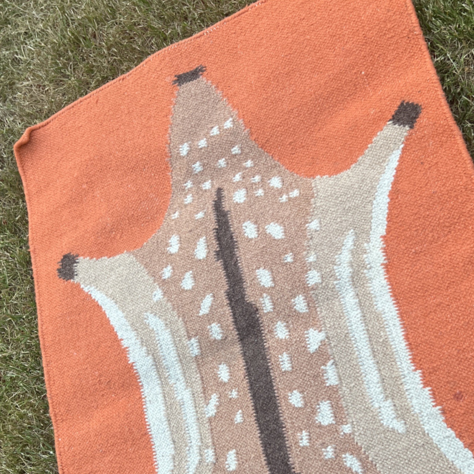 COLD PICNIC Wool Flat Weave FAWN Rug, Rectangle 25x 35 in, Orange