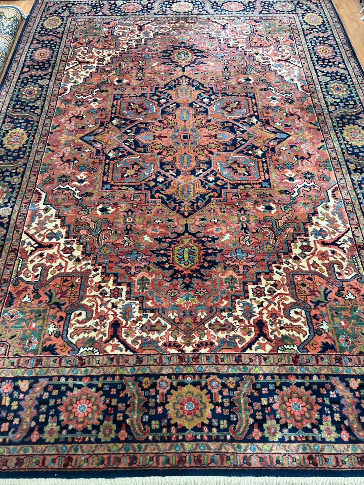 9’7″ x 12’1″ Karastan Herez Design Oriental Rug – Full Pile – Made in USA