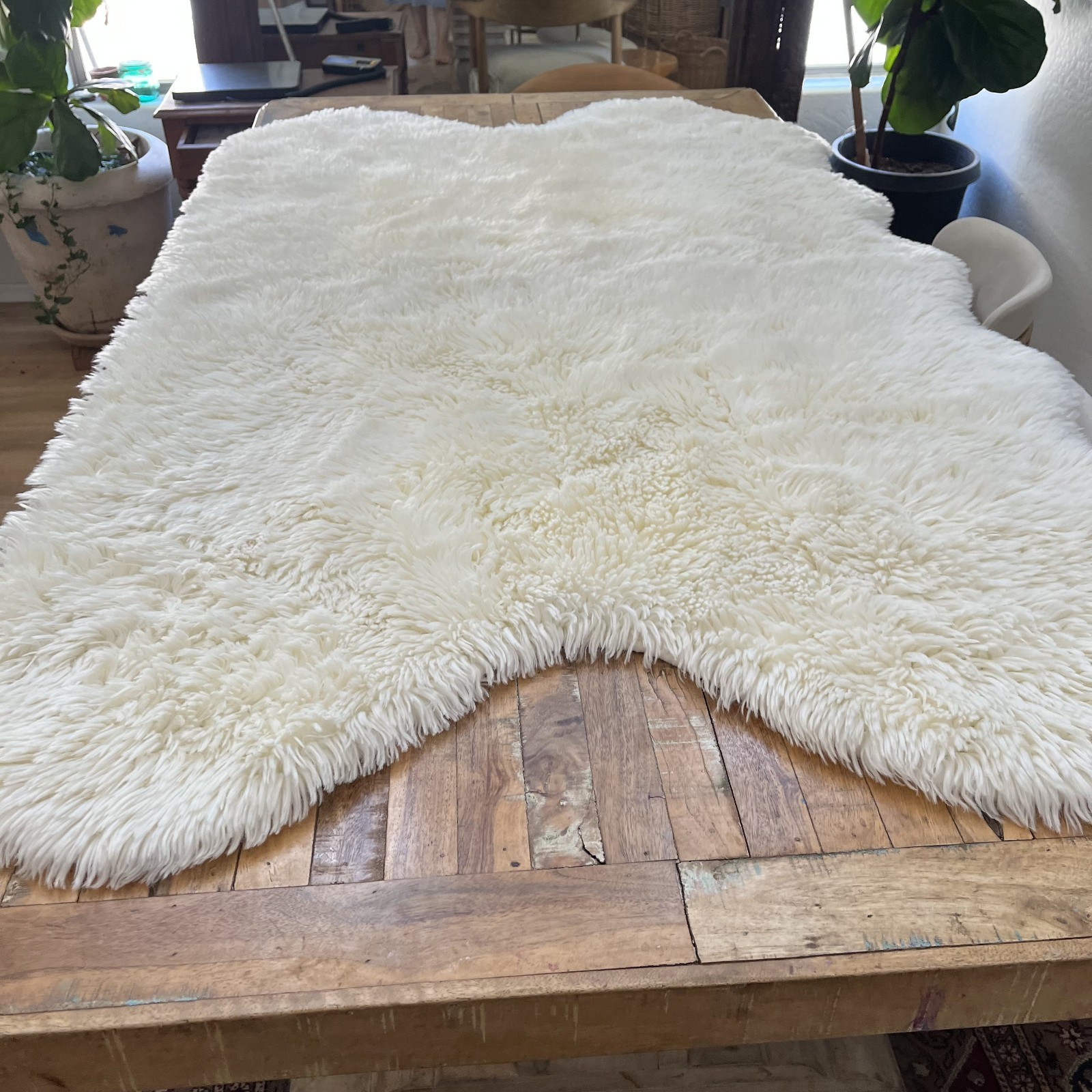 Luxury Collection Plush Faux Fur Area Rug 45 in × 71 in Clean