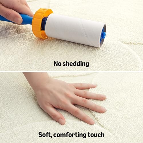 Indoor Area Rugs, Soft-Touch Washable Home Decor Carpet for Living Room