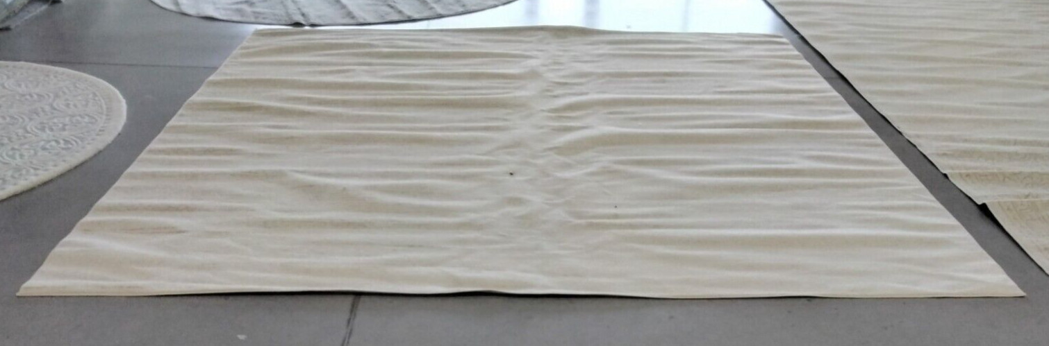 CHAMPAGNE / CREAM 11′ X 11′ Back Stain Rug Reduced Price 1172739759 ADR113W-11SQ