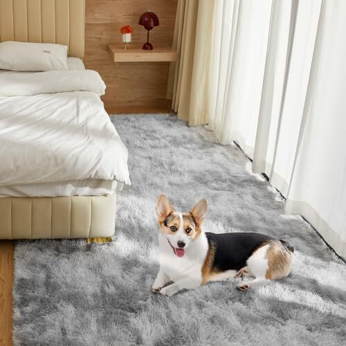 Ultra Soft Rug for Living Room, 4X6 Fluffy Shag Area Assorted Colors , Sizes