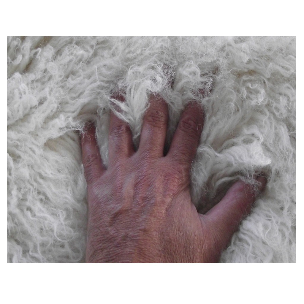 PREMIUM 6X9 GREEK FLOKATI RUG | LONG 3″ PILE | GREAT QUALITY | WOOL AREA RUG