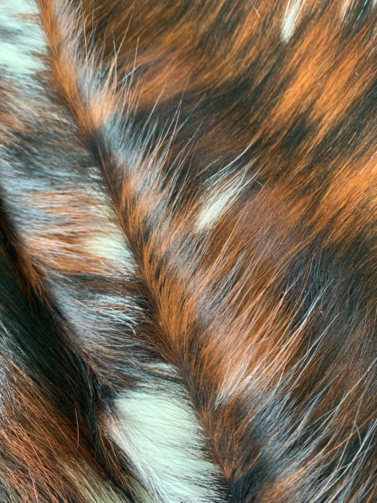 Tricolor Cow Hide Skin Leather Rug – Average Size 7X6 feet – New Cowhide Rug