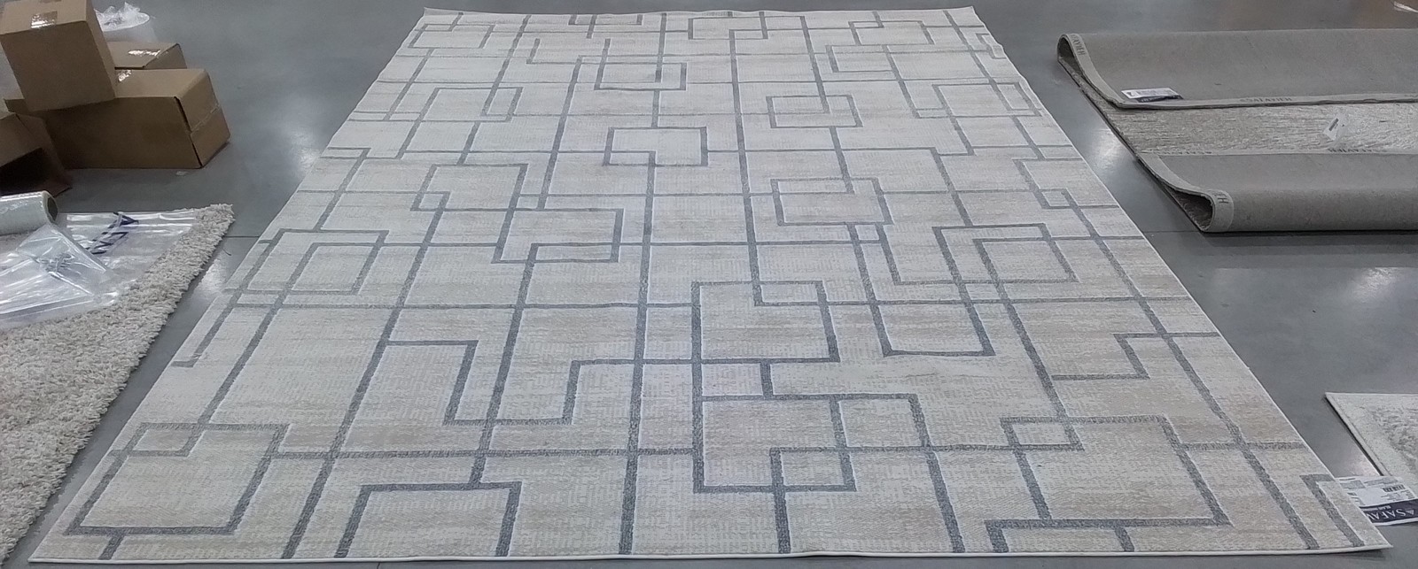 BEIGE / GREY 9′-0″ x 12′-0″ Back Stain Rug, Reduced Price 1172794961 BLR238B-9
