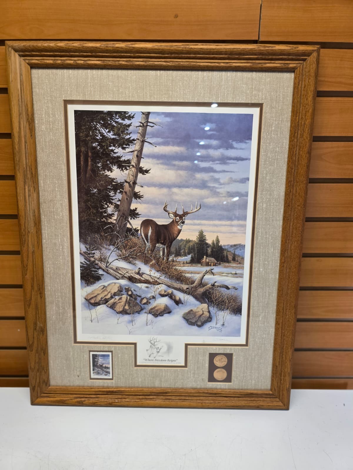 JTVPR4 – Freedom Reigns Framed 20×26
