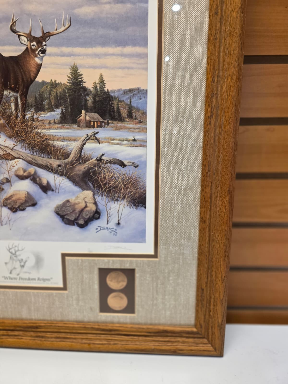 JTVPR4 – Freedom Reigns Framed 20×26