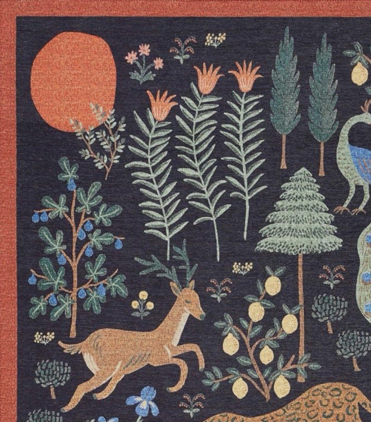 Stunning Bliss Woodland Animal Botanical Jungle Indoor Area Rug 5’ x 7’ Black