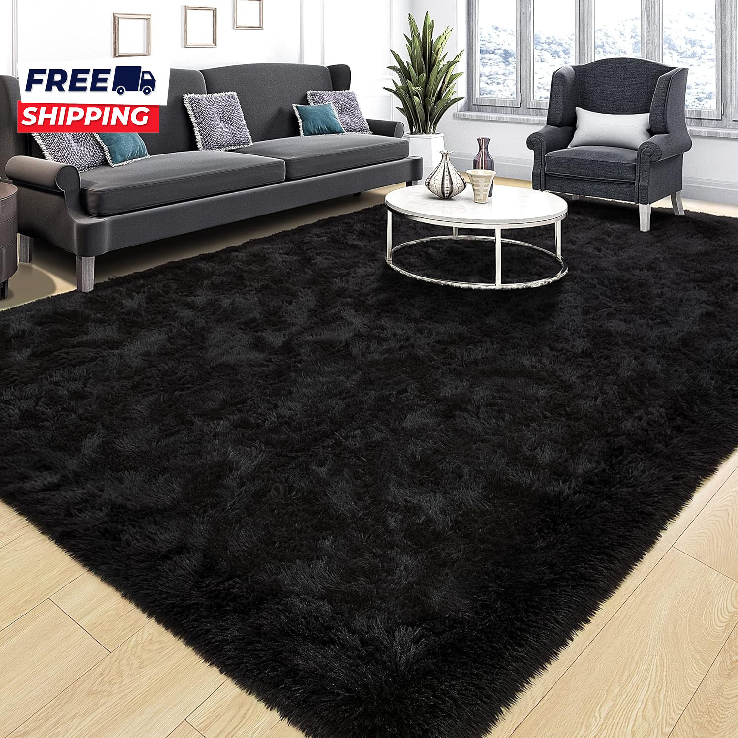 4X6 Soft Fluffy Rug for Bedroom Fuzzy Black Rugs for Living Room Modern Plug