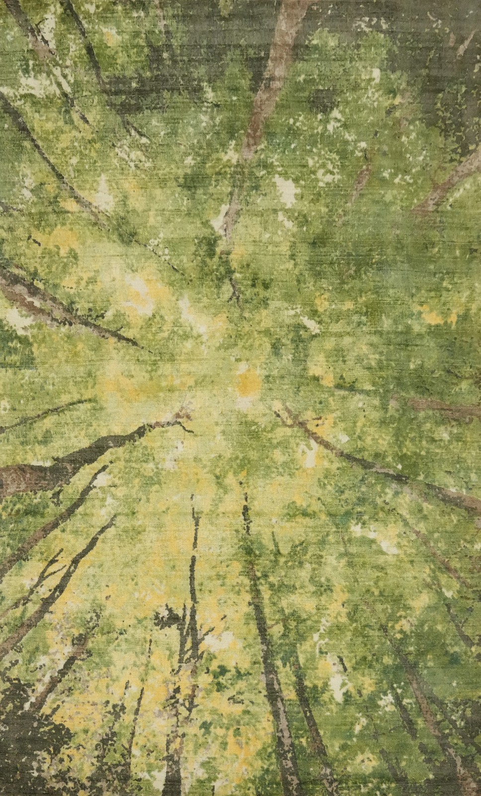 Handmade Multicolor Silk Carpet Nature Print Modern Rug 5×8 Ft Abstract Area Rug