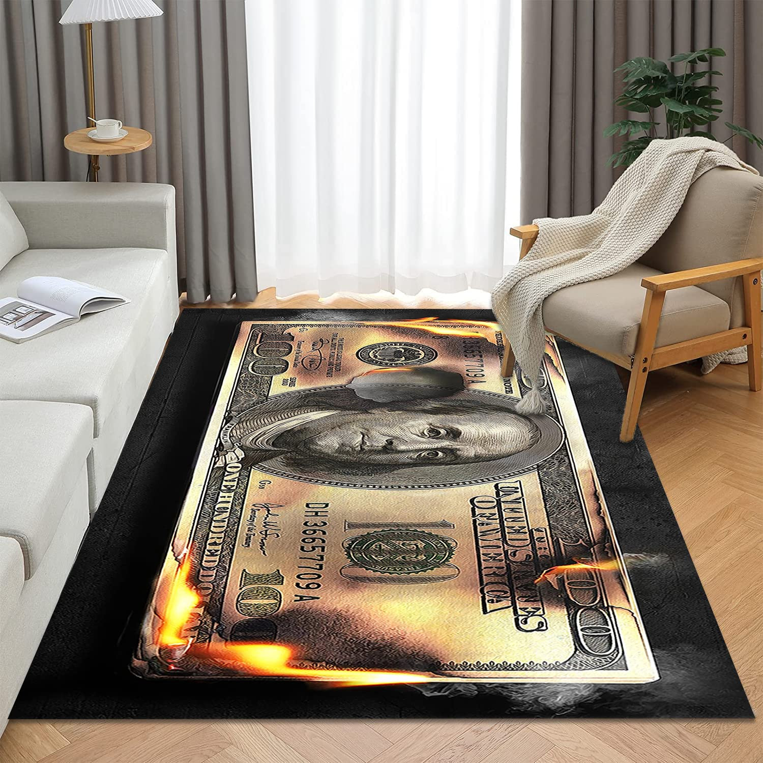 Money Area Rug 4×6 Burning 100 Dollar Bill Living Room Rugs Non Skid Modern C…