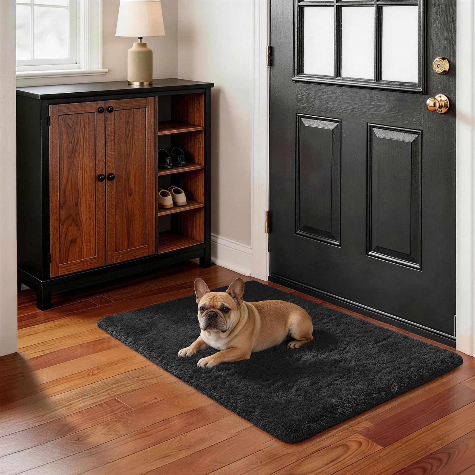 Ophanie Small Black Entryway Throw Rugs for Bedroom, 2×3 Mini Area Rug, Affordab