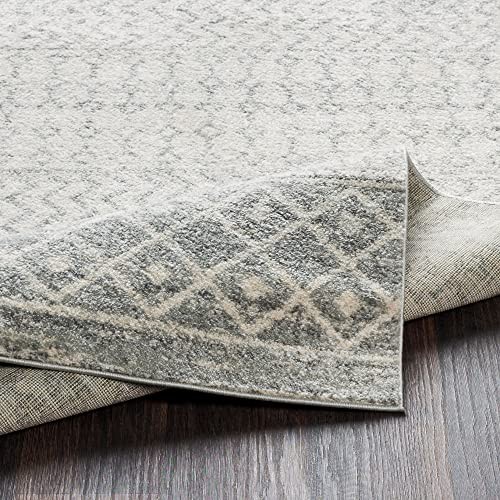 Artistic Weavers Chester Boho Moroccan Area Rug,3′ x 5′,Grey