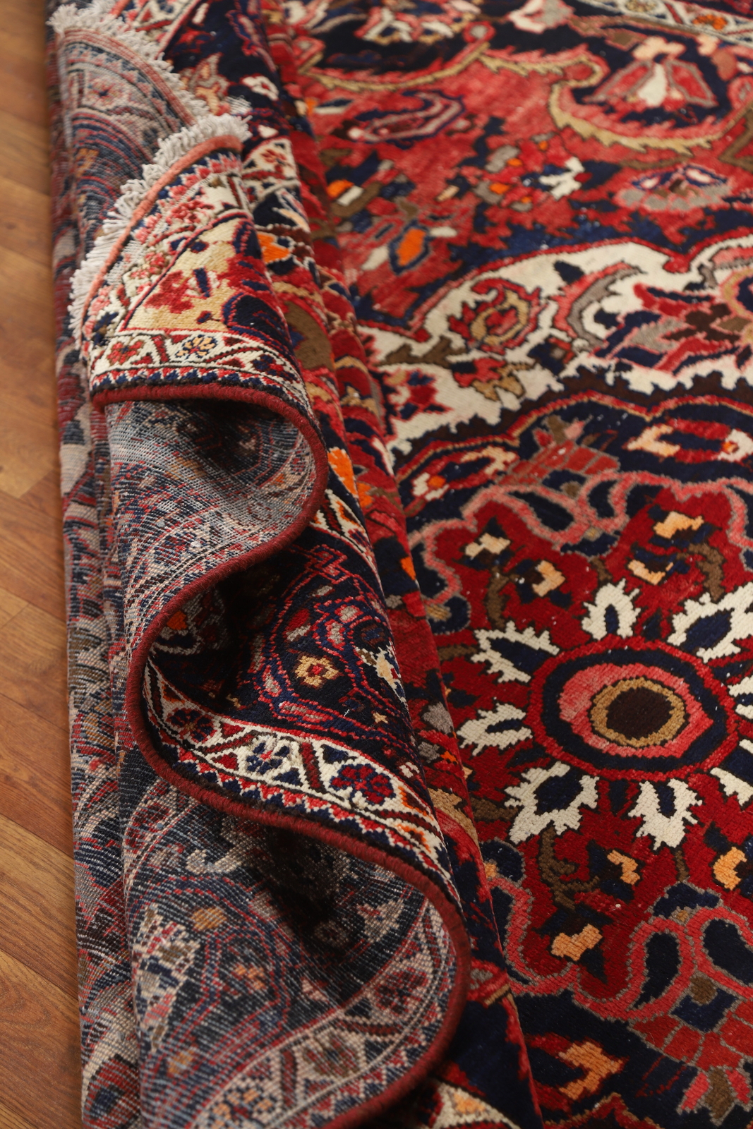 Traditional Floral Wool Hand-knotted Bakhtiari Area Rug Living Room Carpet 7×11