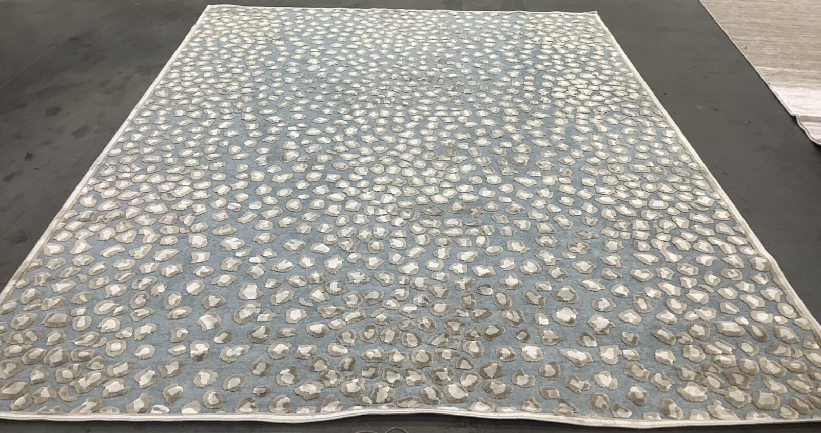 STONE / AQUA 8′-0″ x 10′-0″ Flaw in Rug, Reduced Price 1172680578 PAR84-3470-8